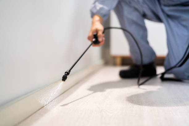 Bed Bug Pre-Treatment Preparation Assessment in Macungie